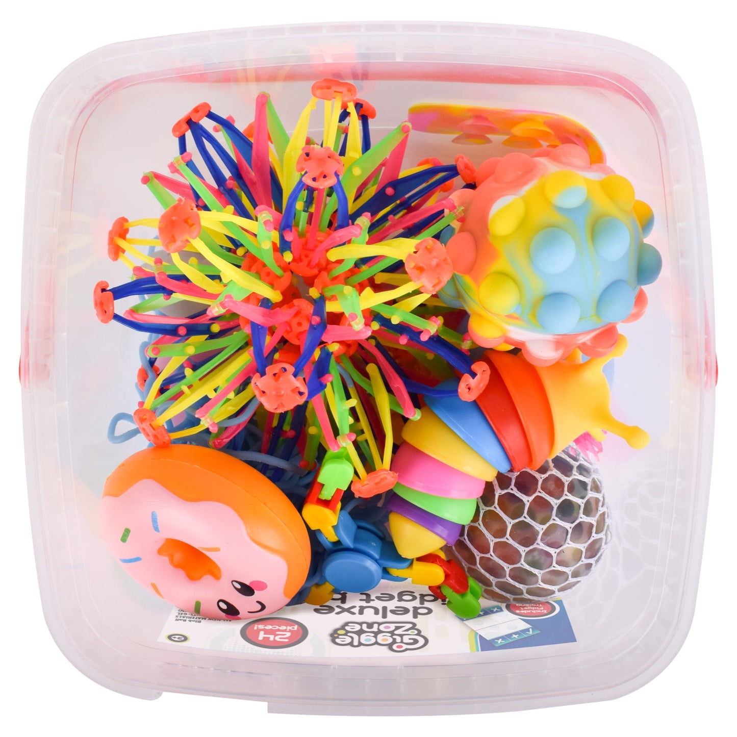Fidget Box - 24 Sensory Toys with Storage Container, Stress Relief for Kids and Adults -