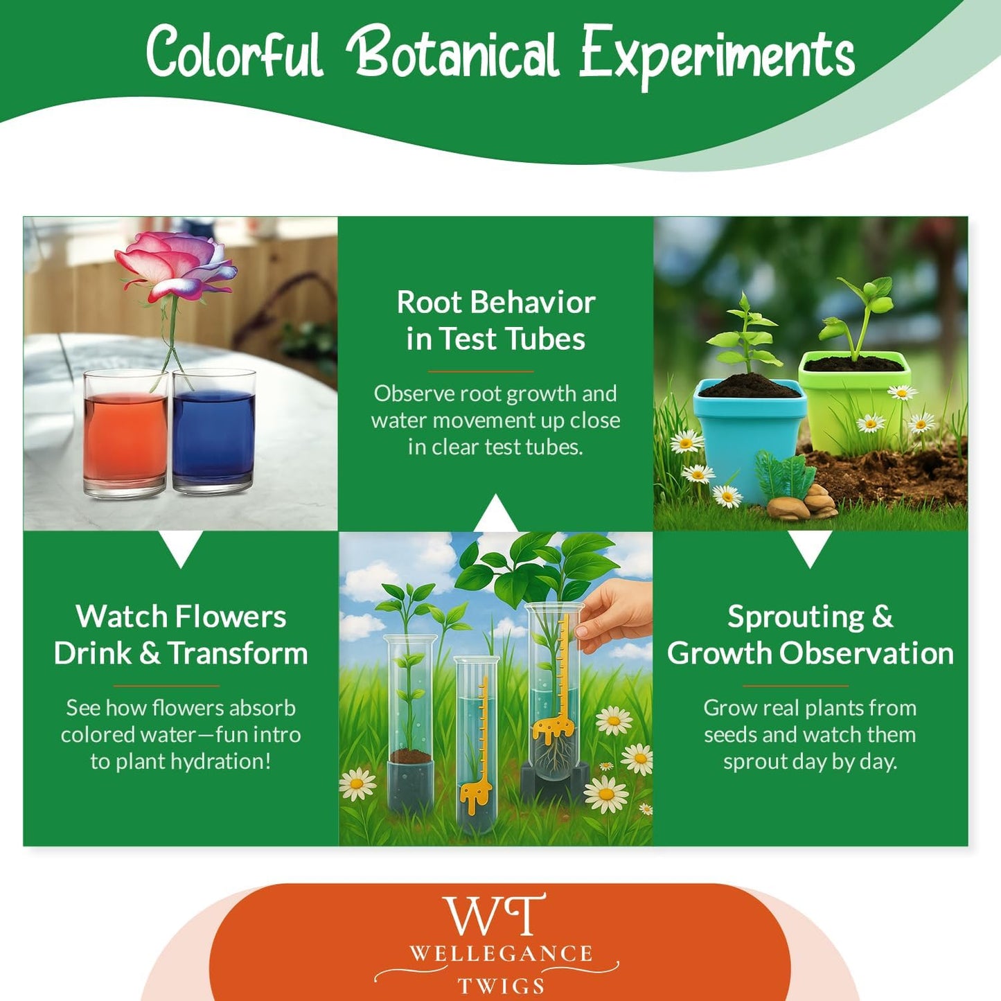 STEM Plant Growing Kit for Kids Ages 8–12 | 19 Hands-On Science Experiments | Learn Transpiration, Hydroponics & More | Grow with Seeds from Your Kitchen | Perfect for School & Home Projects
