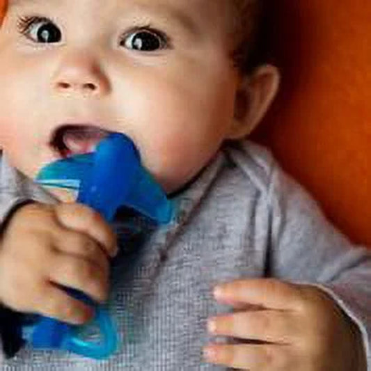 Infant Toothbrush, Original Sharky