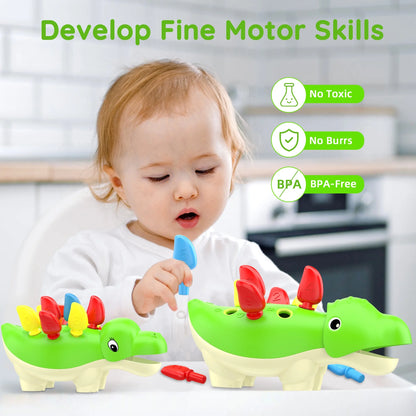 Montessori Learning Toys for 1 Year Old Boys,  Toddlers Baby Educational Sensory Toys Age 1-3 Girls