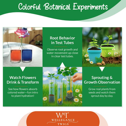 STEM Plant Growing Kit for Kids Ages 8–12 | 19 Hands-On Science Experiments | Learn Transpiration, Hydroponics & More | Grow with Seeds from Your Kitchen | Perfect for School & Home Projects